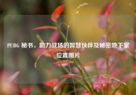 PUBG 秘书，助力战场的智慧伙伴及秘密地下室位置图片