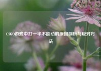 CSGO游戏中打一半不能动的原因剖析与应对方法