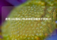 速龙3200G畅玩CF实战体验及相当于何种CPU