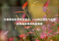 从像素贴纸到情感锚点，CSGO饰品签名与名称标签里藏着的热血青春