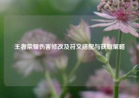 王者荣耀伤害修改及符文搭配与获取策略