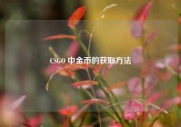CSGO 中金币的获取方法