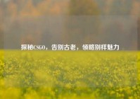 探秘CSGO，告别古老，领略别样魅力