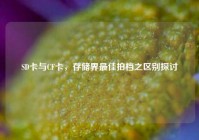 SD卡与CF卡，存储界最佳拍档之区别探讨