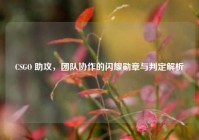 CSGO 助攻，团队协作的闪耀勋章与判定解析