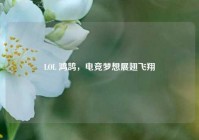 LOL 鸿鹄，电竞梦想展翅飞翔