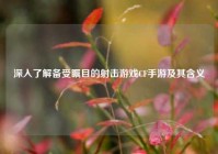 深入了解备受瞩目的射击游戏CF手游及其含义