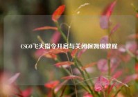 CSGO飞天指令开启与关闭保姆级教程