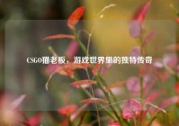 CSGO猫老板，游戏世界里的独特传奇