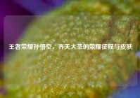 王者荣耀孙悟空，齐天大圣的荣耀征程与皮肤