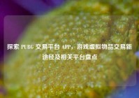 探索 PUBG 交易平台 APP，游戏虚拟物品交易新途径及相关平台盘点