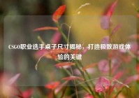 CSGO职业选手桌子尺寸揭秘，打造极致游戏体验的关键