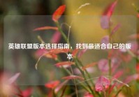 英雄联盟版本选择指南，找到最适合自己的版本