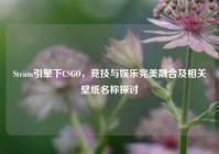 Steam引擎下CSGO，竞技与娱乐完美融合及相关壁纸名称探讨