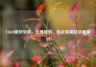CSGO储存空间，合理规划、优化指南及容量探讨