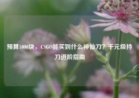 预算1000块，CSGO能买到什么神仙刀？千元级持刀进阶指南