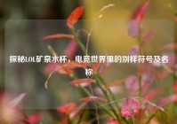探秘LOL矿泉水杯，电竞世界里的别样符号及名称