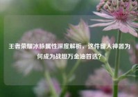 王者荣耀冰脉属性深度解析，这件留人神器为何成为战坦万金油首选？