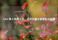 CSGO 单人创意工坊，无尽乐趣之源及玩法指南