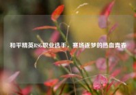 和平精英RSG职业选手，赛场逐梦的热血青春