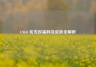 CSGO 优先权福利及皮肤全解析