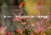 致 CSGO，一场未尽的游戏之殇——退游有感