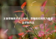 王者荣耀高手战士称号，荣耀背后的实力象征及获取方法