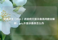绝地求生（PUBG）进游戏只显示血条问题全解析，pubg不显示血条怎么办