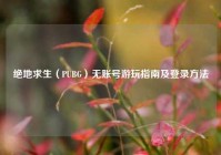 绝地求生（PUBG）无账号游玩指南及登录方法