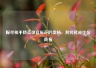 探寻和平精英录音原声的奥秘，其究竟是什么声音