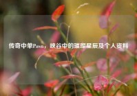 传奇中单Pawn，峡谷中的璀璨星辰及个人资料
