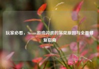 玩家必看，Steam游戏闪退的常见原因与全面修复指南