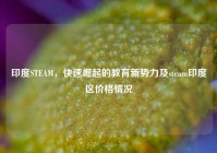 印度STEAM，快速崛起的教育新势力及steam印度区价格情况