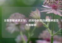 王者荣耀减速之球，战场中的灵动减速神器及作用解析