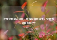 逆战宠物显示问题，独特风景线消失，宠物为何找不到了？