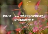 新手必看，CSGO B5转正解锁排位权限指南及14油耗每公里成本解析