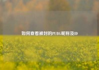 如何查看被封的PUBG昵称及ID