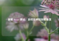 探索 Steam 俄站，游戏世界的别样角落