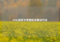 PUBG游戏卡死困扰及解决方法