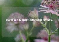 CSGO机器人总被踢的原因剖析及应对办法