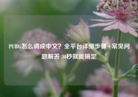 PUBG怎么调成中文？全平台详细步骤+常见问题解答 30秒就能搞定