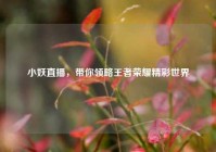 小妖直播，带你领略王者荣耀精彩世界