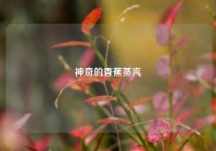 神奇的香蕉蒸汽