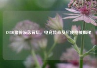 CSGO猪神陨落背后，电竞传奇及所使枪械揭秘