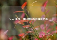 Steam 平台，开启精彩在线联机之旅