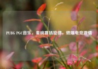 PUBG PGC音乐，奏响赛场旋律，燃爆电竞激情