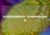 逆战南北狙神巅峰对决，探寻逆战狙神究竟是谁