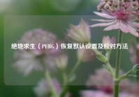 绝地求生（PUBG）恢复默认设置及应对方法