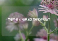 荣耀平板 2，畅玩王者荣耀的得力助手
