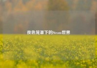 夜色笼罩下的Steam世界